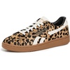 Cheetah/Cheetah/Chalk