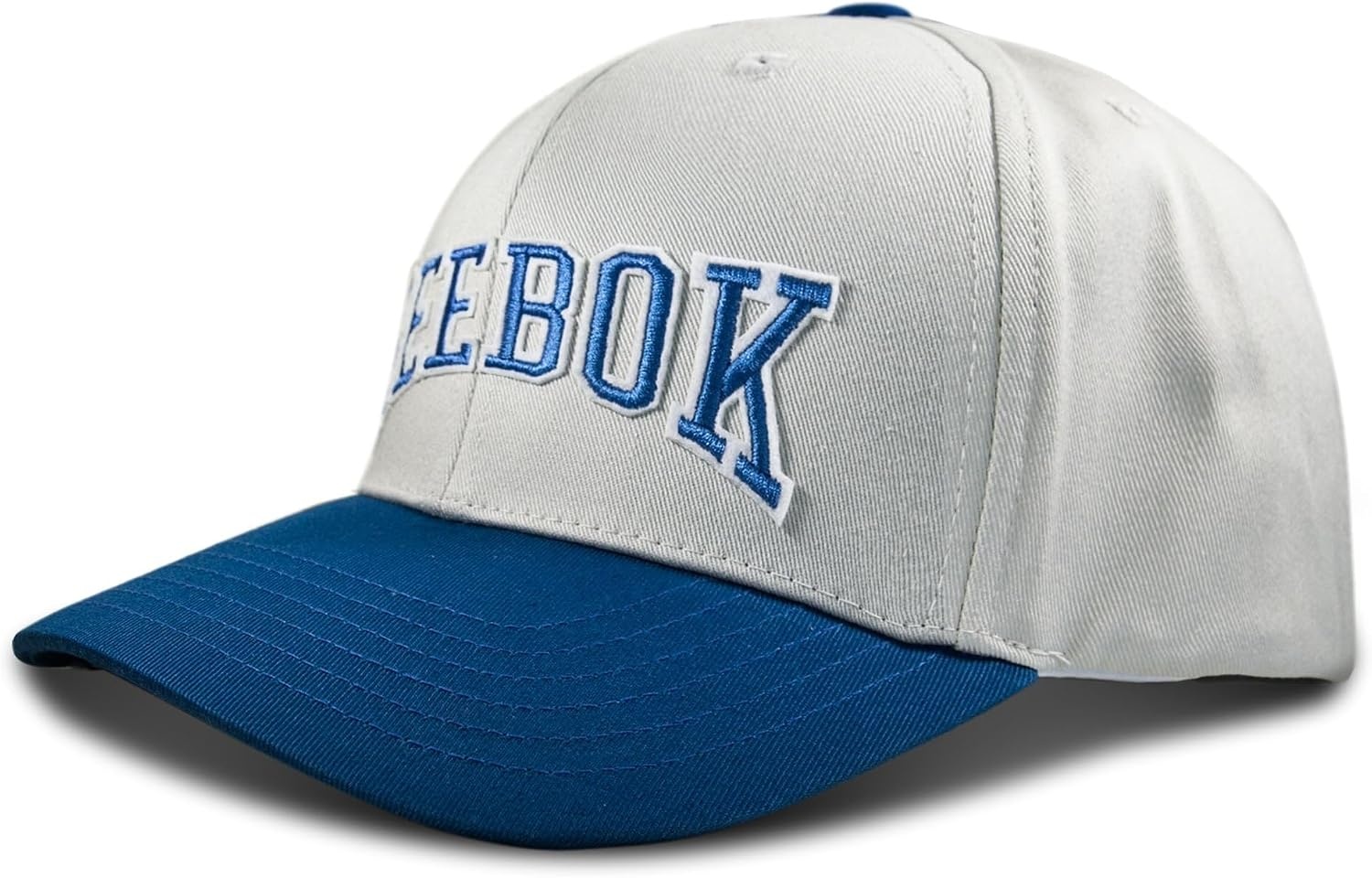 image:imageReebok Classic Hat Snapback Adjustable Baseball Cap Embroidered Casual Lifestyle Athletic Sports RetroGreyVector Blue
