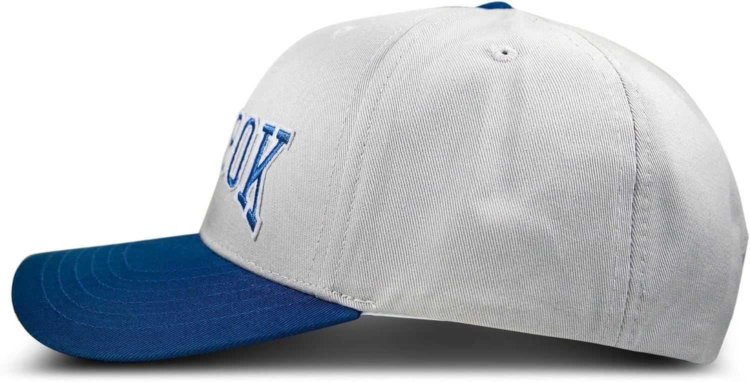 image:imageReebok Classic Hat Snapback Adjustable Baseball Cap Embroidered Casual Lifestyle Athletic Sports RetroGreyVector Blue
