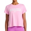 Lilac Chiffon - Knockout